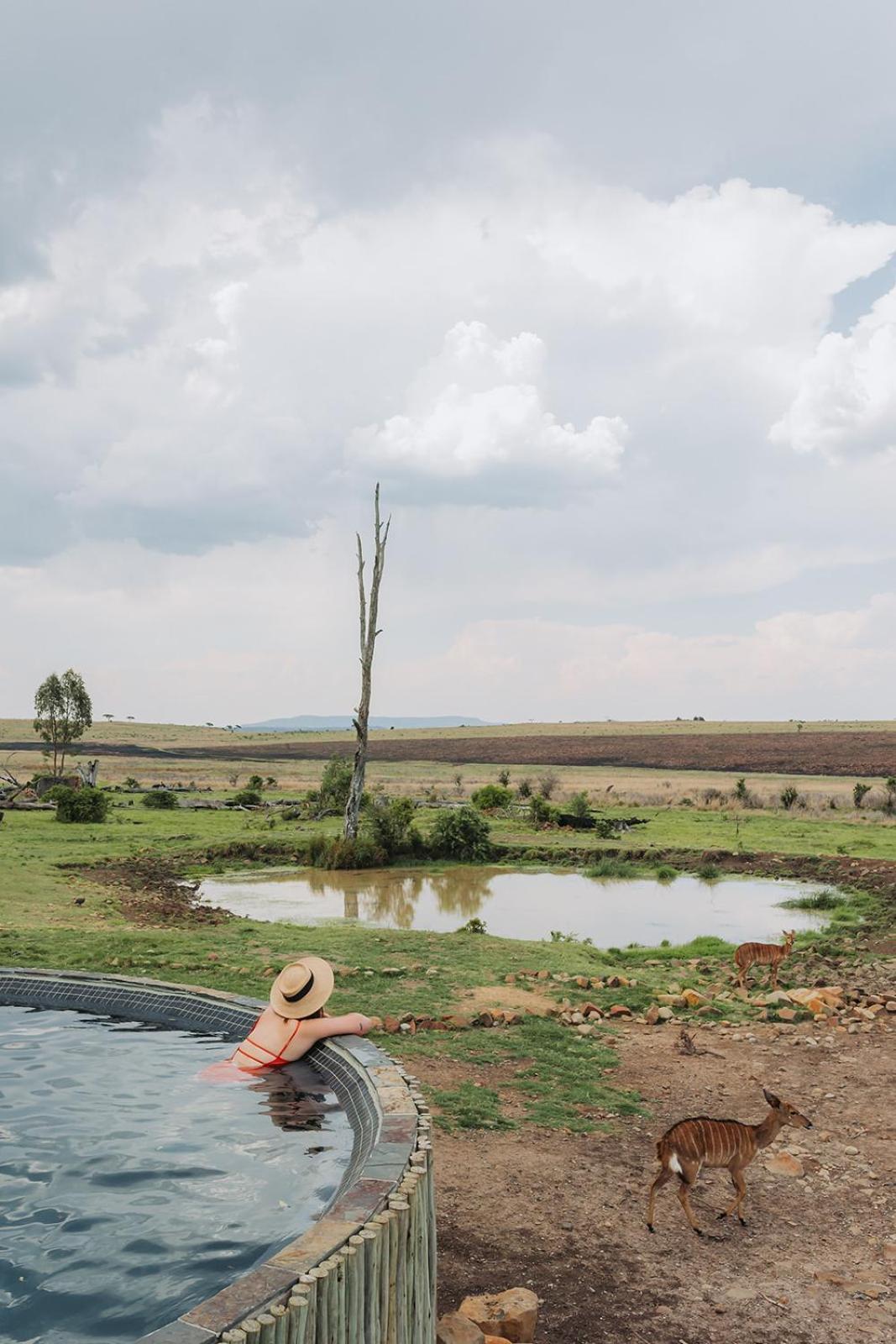 Nambiti Plains Lodge Лейдисмит Екстериор снимка