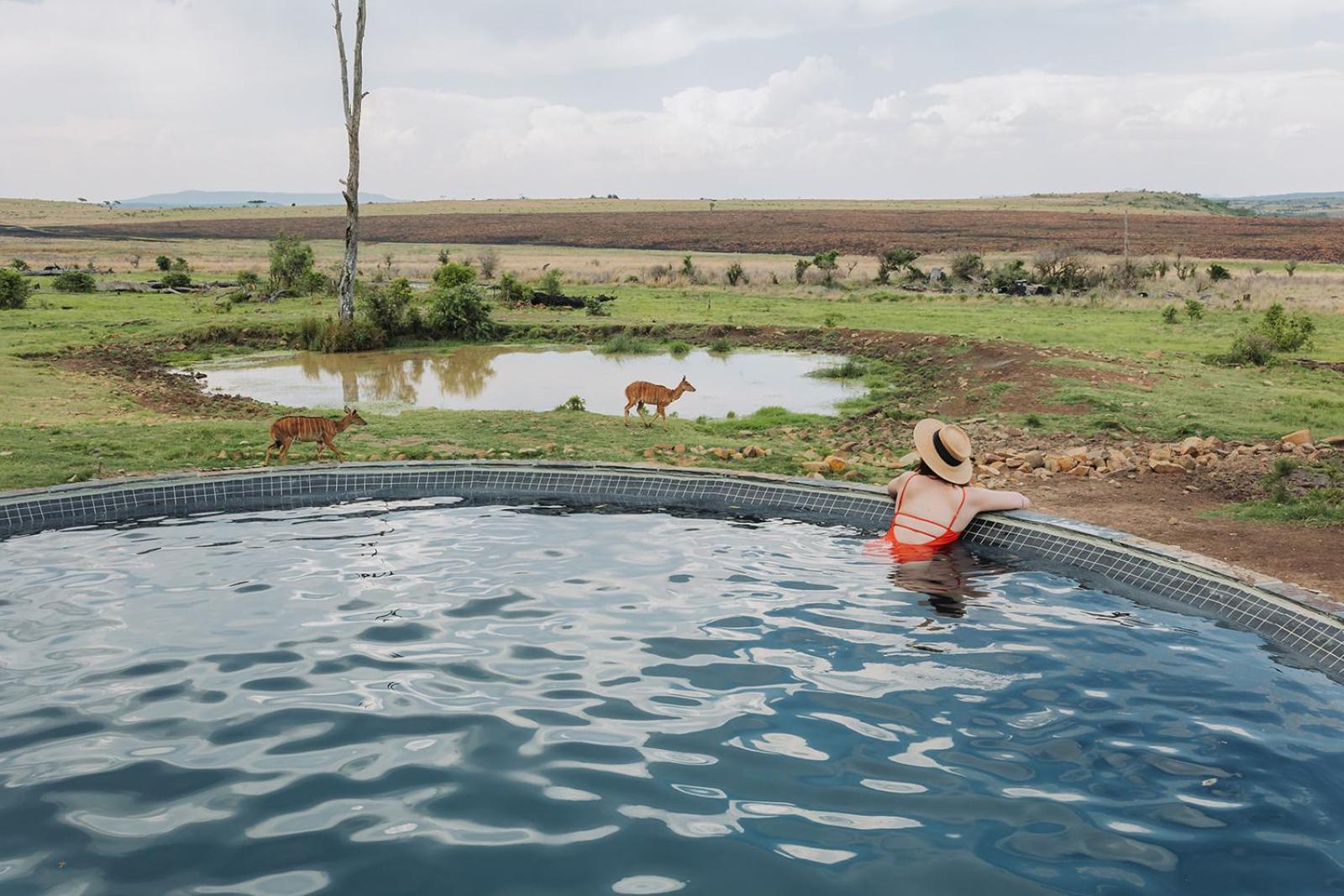 Nambiti Plains Lodge Лейдисмит Екстериор снимка