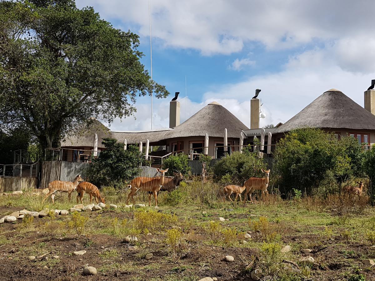 Nambiti Plains Lodge Лейдисмит Екстериор снимка