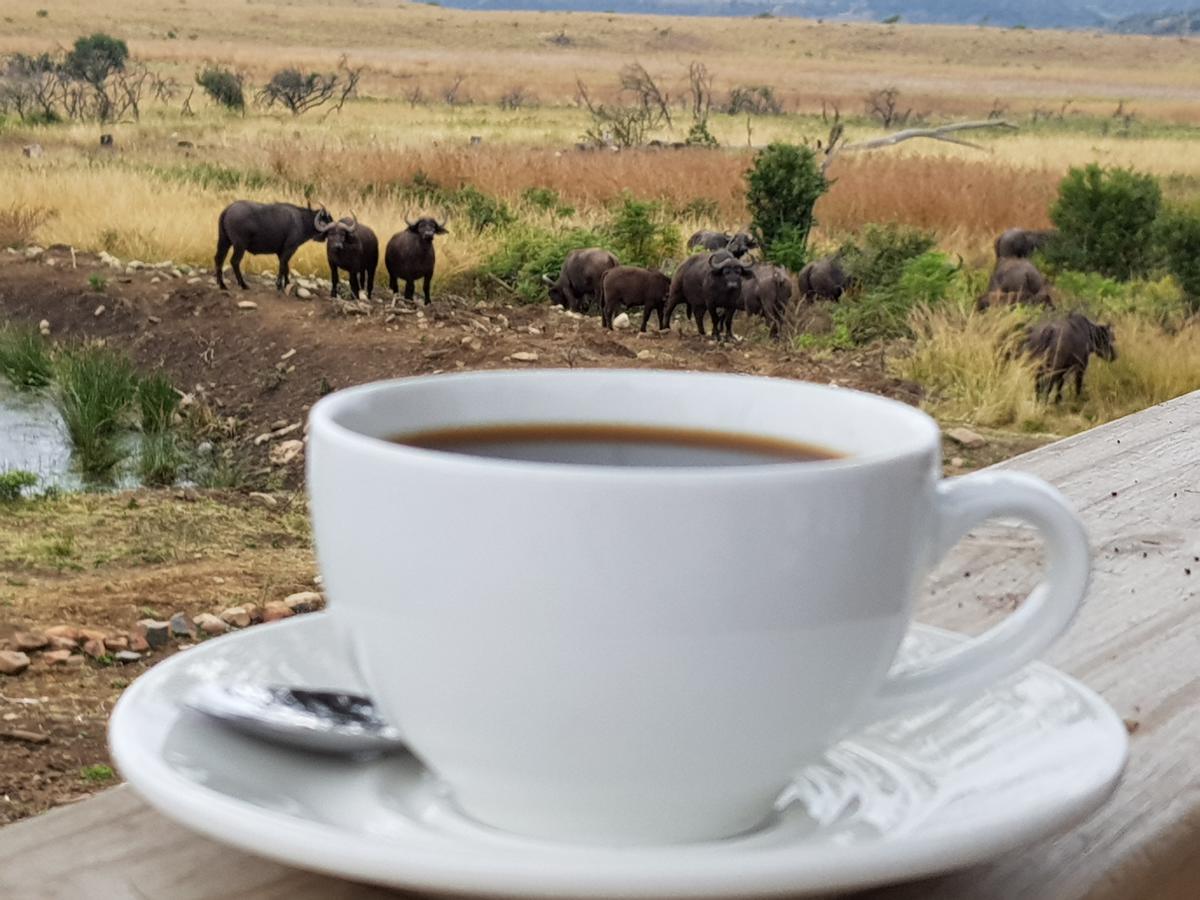 Nambiti Plains Lodge Лейдисмит Екстериор снимка