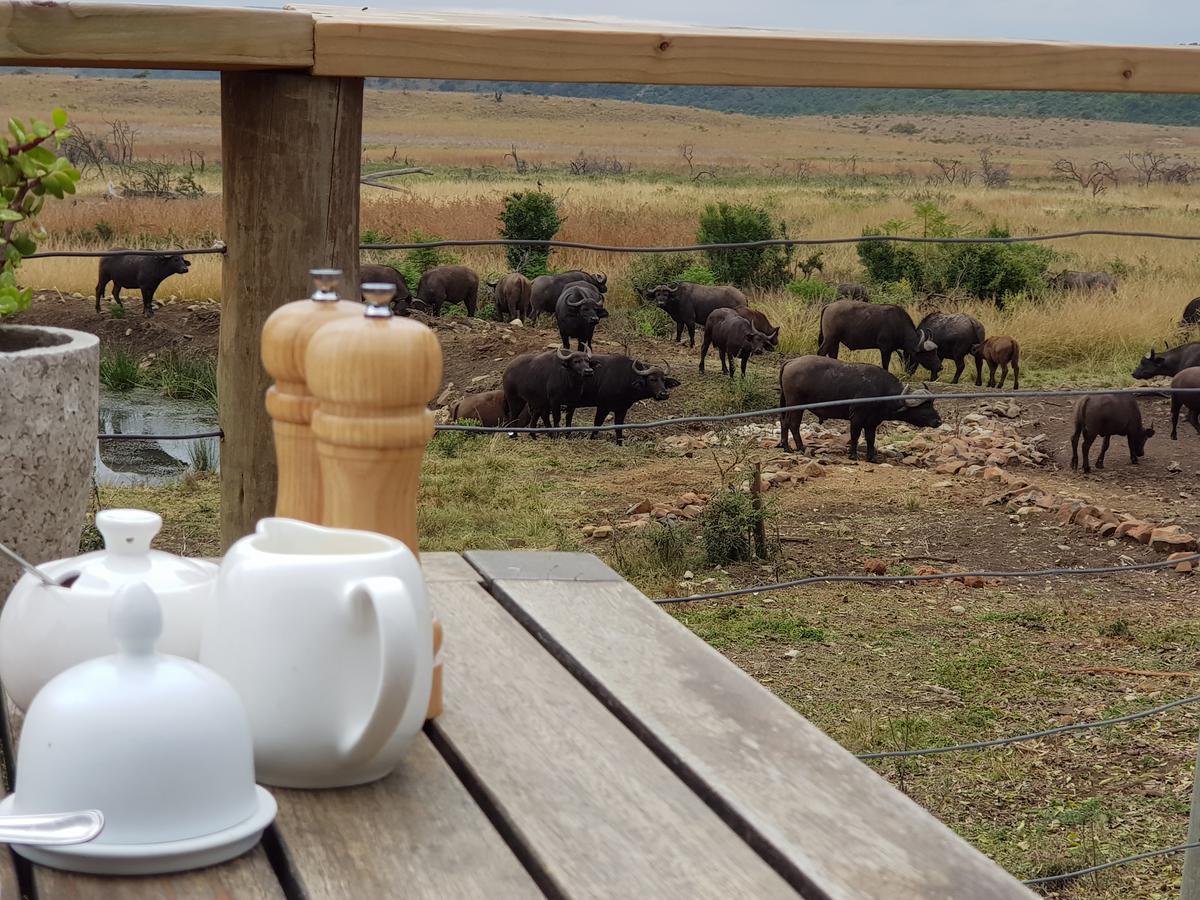 Nambiti Plains Lodge Лейдисмит Екстериор снимка