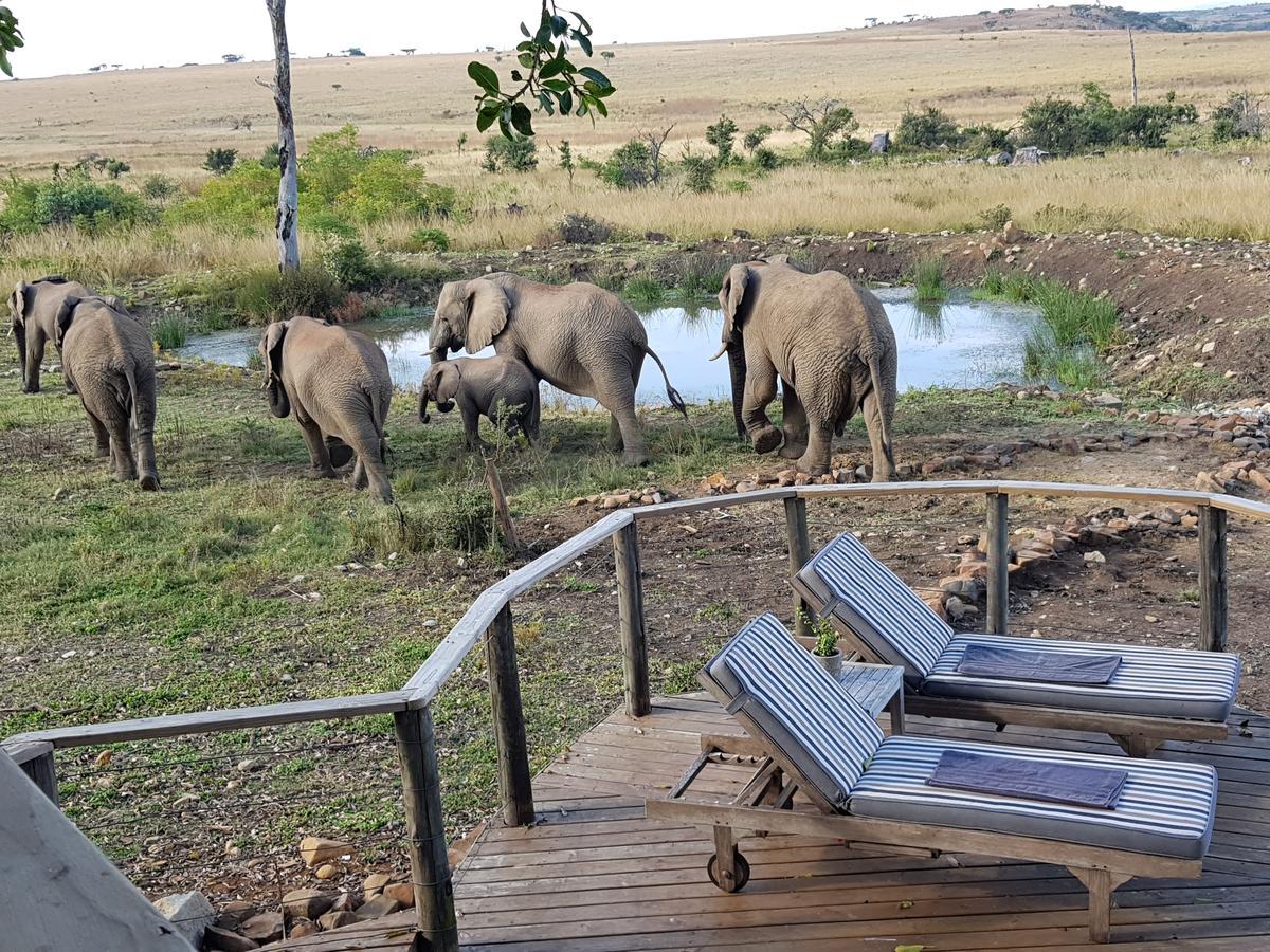 Nambiti Plains Lodge Лейдисмит Екстериор снимка