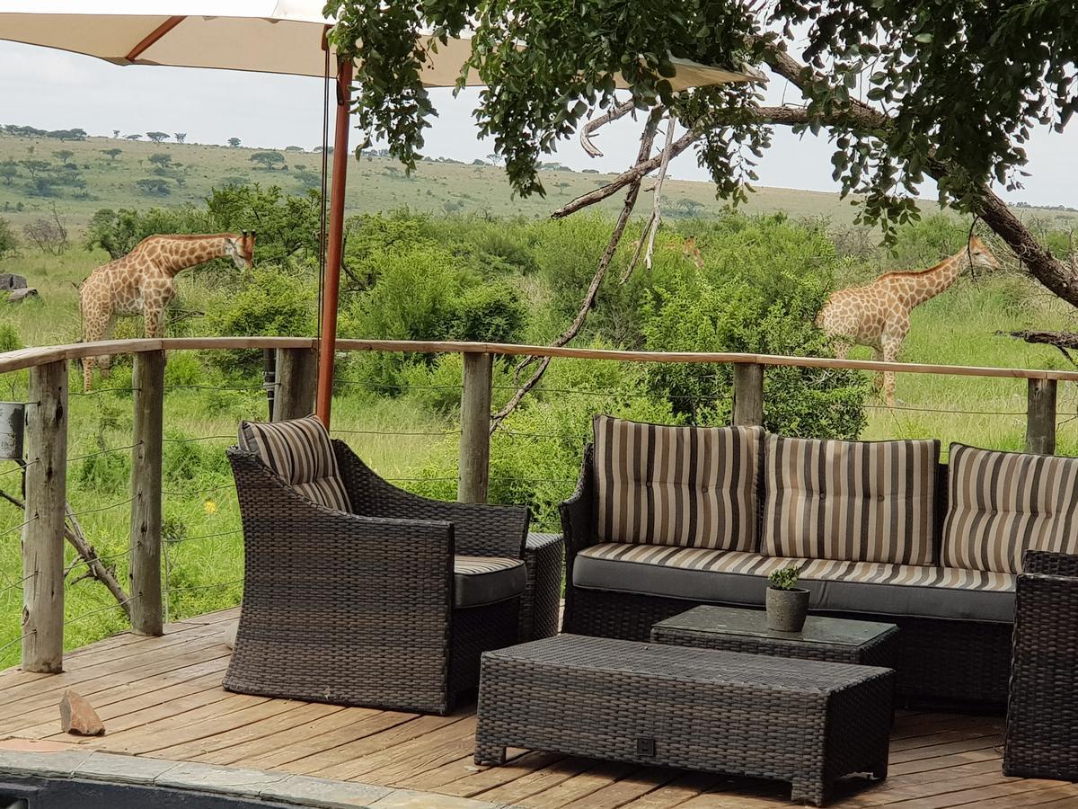 Nambiti Plains Lodge Лейдисмит Екстериор снимка