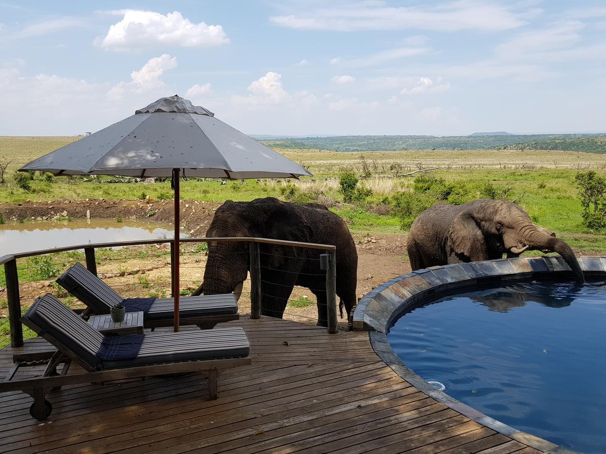 Nambiti Plains Lodge Лейдисмит Екстериор снимка